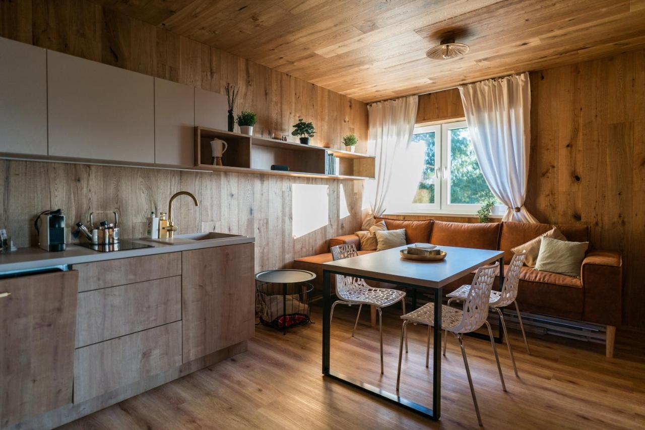 Unique Lipno Apartment Černá v Pošumaví Εξωτερικό φωτογραφία
